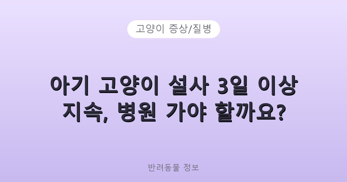 아기 고양이 설사 3일 이상 지속, 병원 가야 할까요? - 고양이 증상/질병 테니스 콘텐츠 이미지