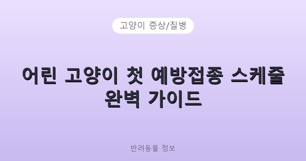 어린 고양이 첫 예방접종 스케줄 완벽 가이드 - 고양이 증상/질병 테니스 콘텐츠 이미지