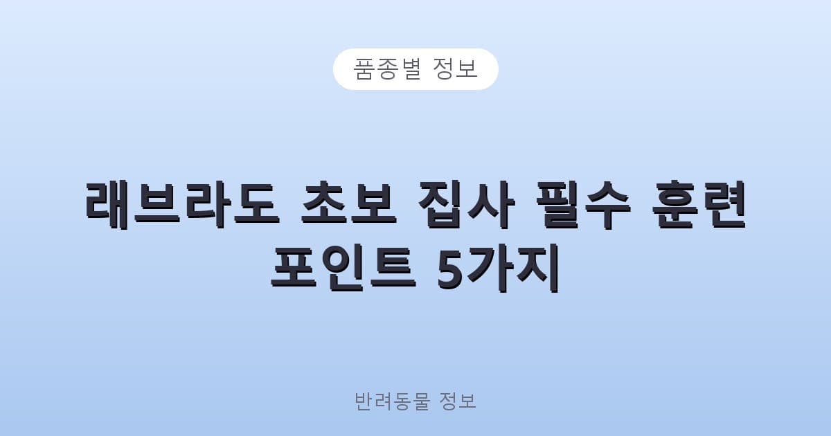 래브라도 초보 집사 필수 훈련 포인트 5가지 - 품종별 정보 테니스 콘텐츠 이미지