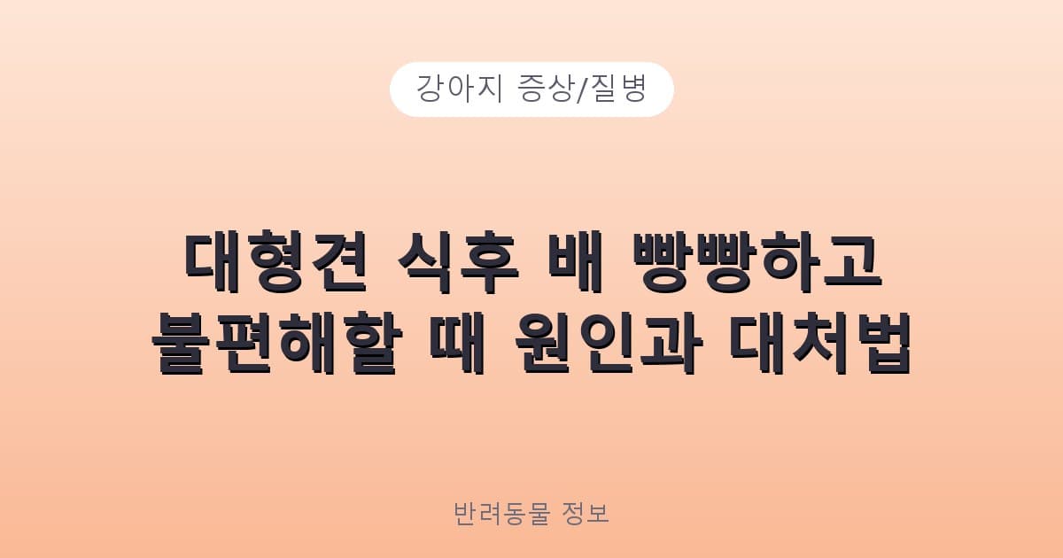 대형견 식후 배 빵빵하고 불편해할 때 원인과 대처법 - 강아지 증상/질병 테니스 콘텐츠 이미지