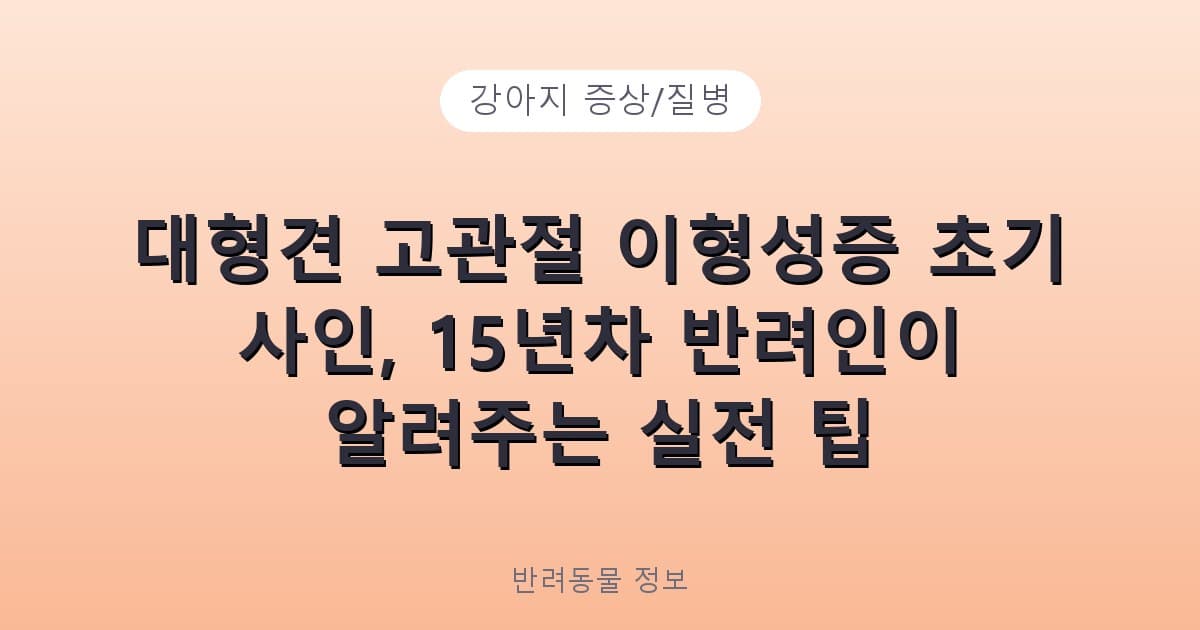 대형견 고관절 이형성증 초기 사인, 15년차 반려인이 알려주는 실전 팁 - 강아지 증상/질병 테니스 콘텐츠 이미지