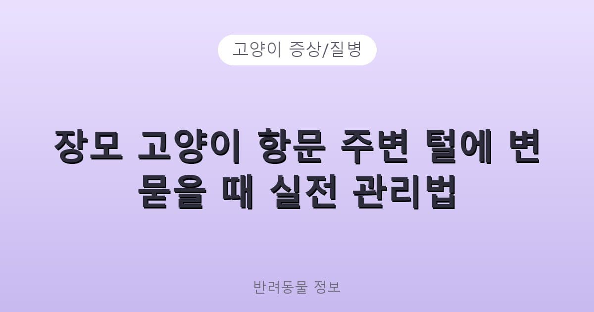 장모 고양이 항문 주변 털에 변 묻을 때 실전 관리법 - 고양이 증상/질병 테니스 콘텐츠 이미지