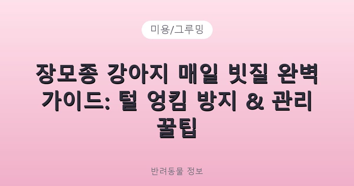장모종 강아지 매일 빗질 완벽 가이드: 털 엉킴 방지 & 관리 꿀팁 - 미용/그루밍 테니스 콘텐츠 이미지
