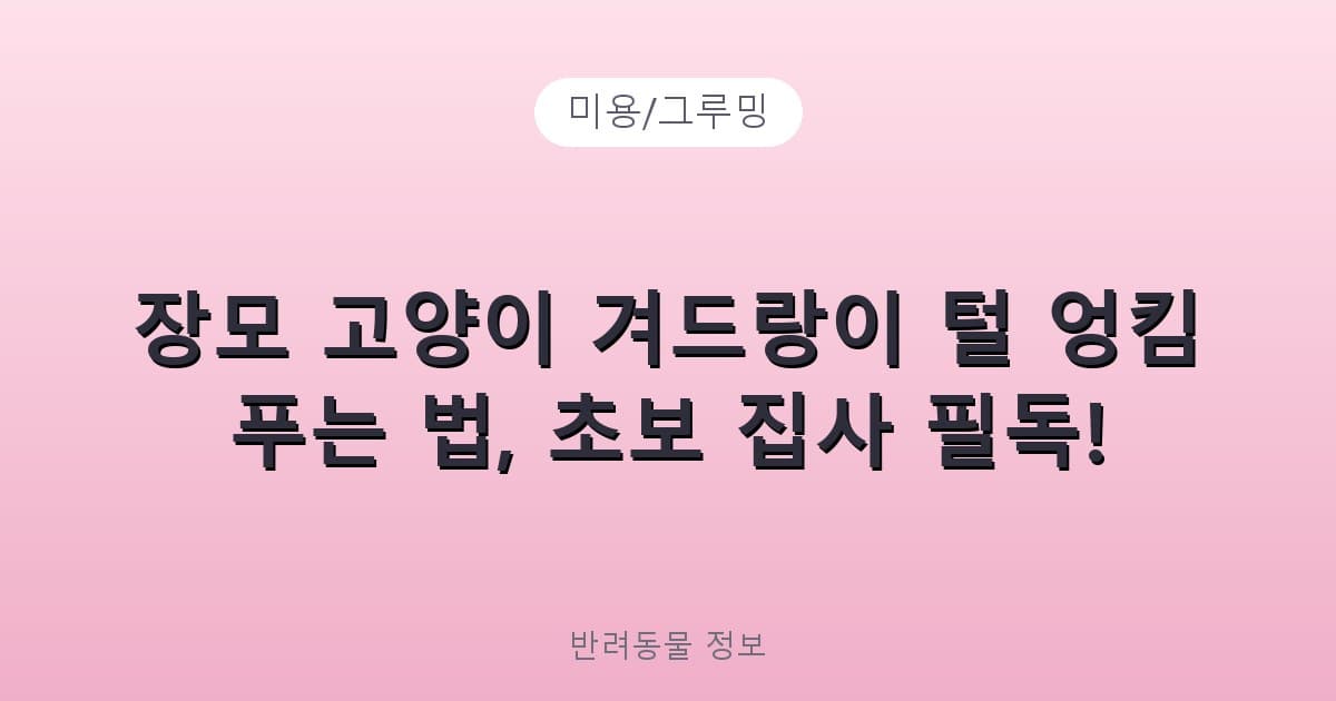 장모 고양이 겨드랑이 털 엉킴 푸는 법, 초보 집사 필독! - 미용/그루밍 제품 이미지, 테니스 뇌피셜
