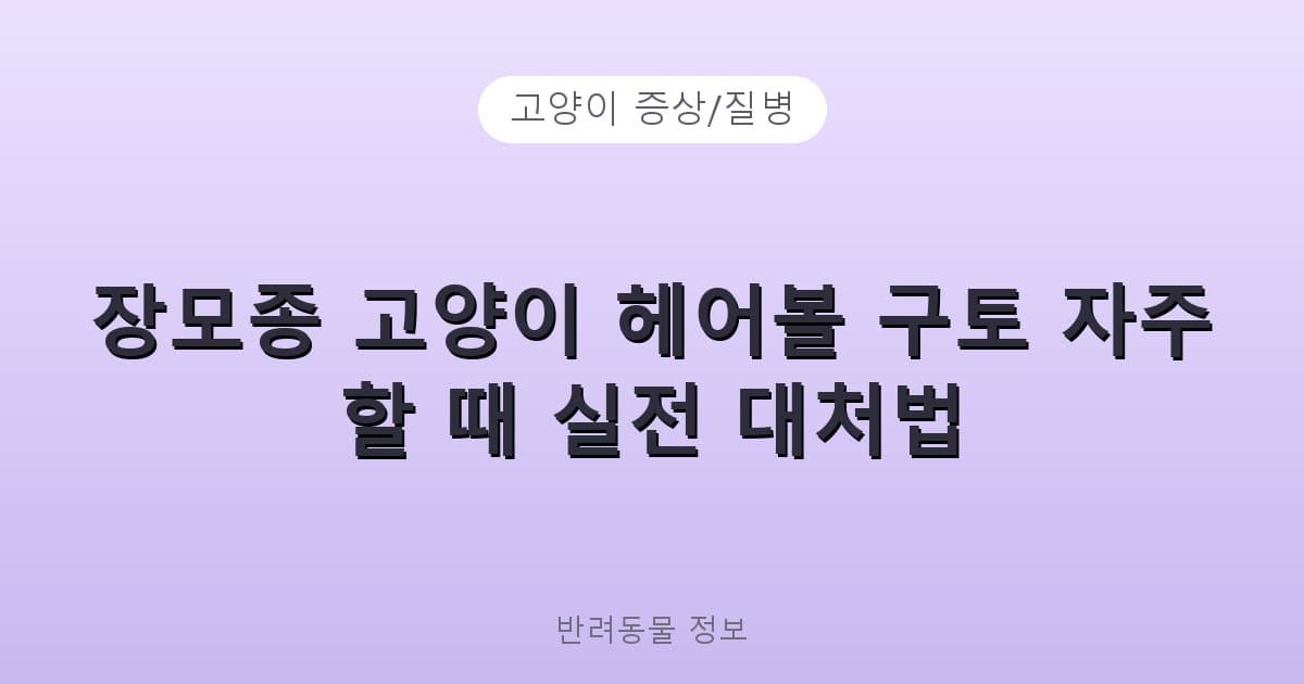 장모종 고양이 헤어볼 구토 자주 할 때 실전 대처법 - 고양이 증상/질병 테니스 콘텐츠 이미지