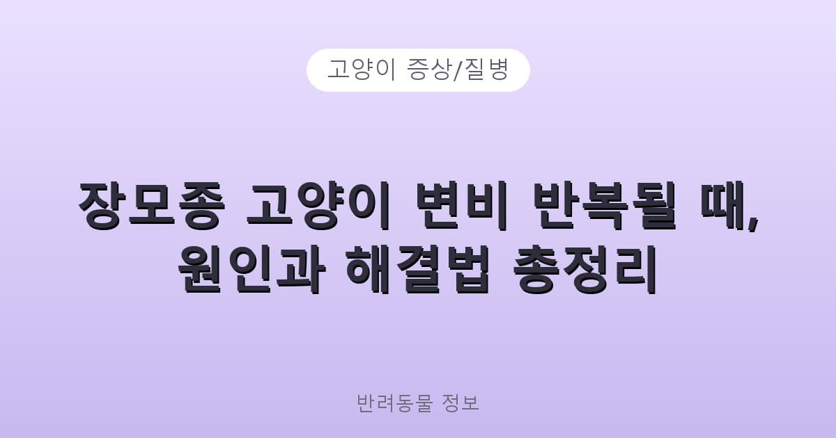 장모종 고양이 변비 반복될 때, 원인과 해결법 총정리 - 고양이 증상/질병 테니스 콘텐츠 이미지