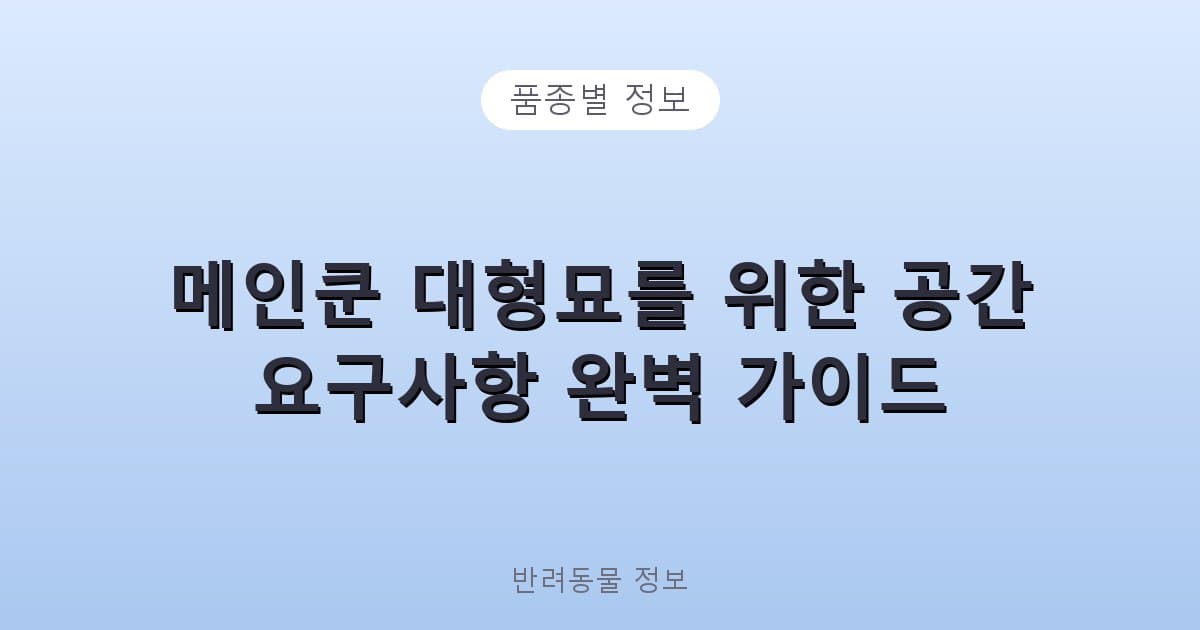 메인쿤 대형묘를 위한 공간 요구사항 완벽 가이드 - 품종별 정보 테니스 콘텐츠 이미지