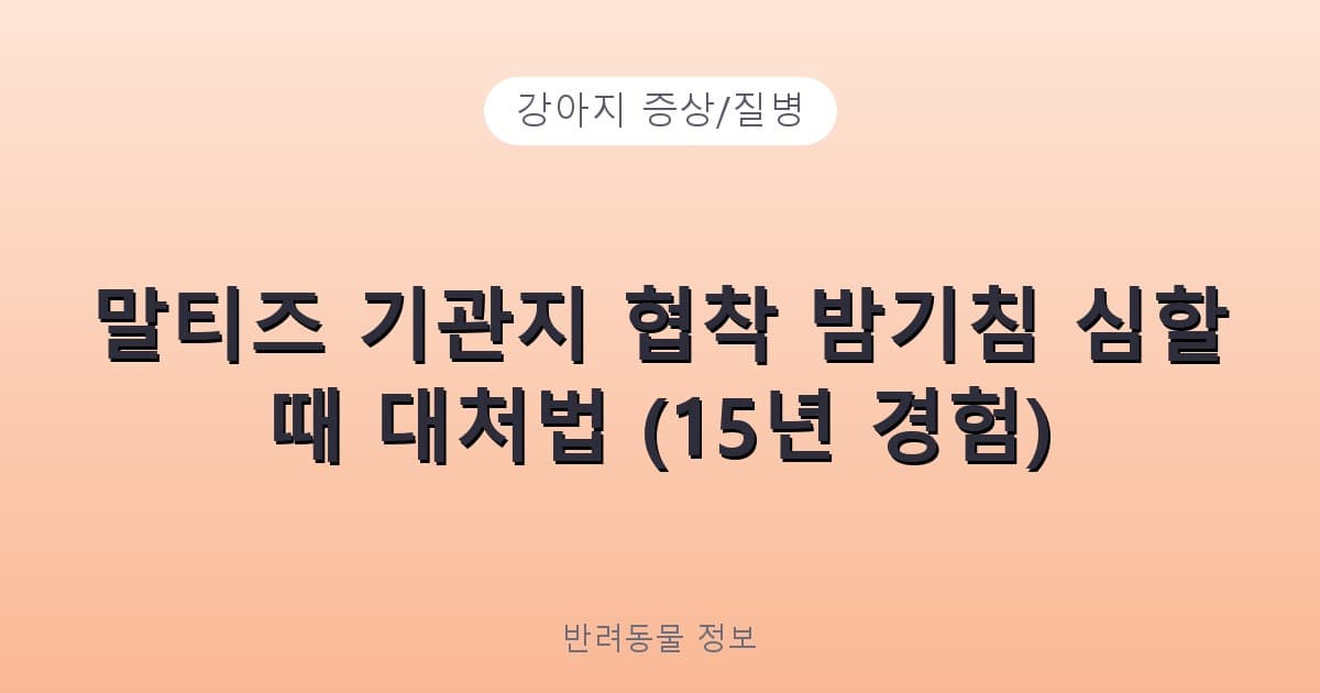말티즈 기관지 협착 밤기침 심할 때 대처법 (15년 경험) - 강아지 증상/질병 테니스 콘텐츠 이미지