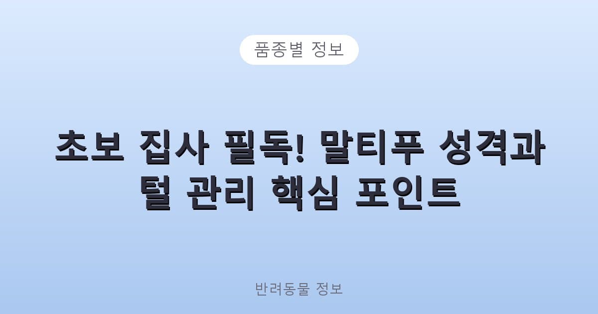 초보 집사 필독! 말티푸 성격과 털 관리 핵심 포인트 - 품종별 정보 테니스 콘텐츠 이미지