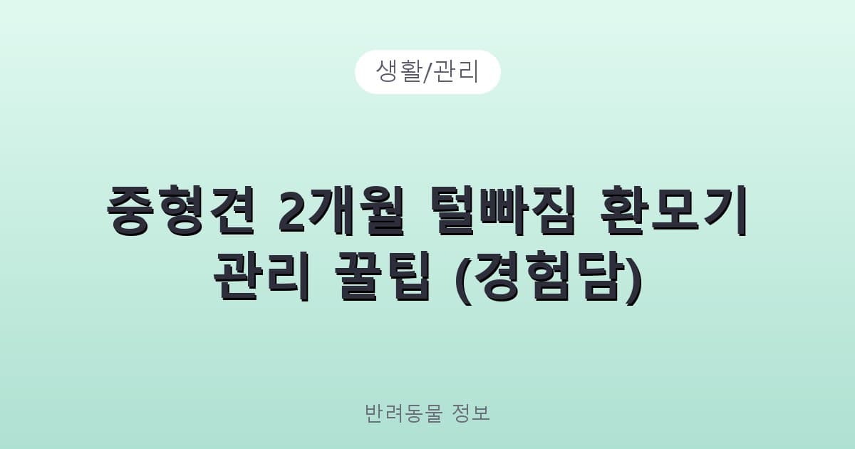 중형견 2개월 털빠짐 환모기 관리 꿀팁 (경험담) - 생활/관리 테니스 콘텐츠 이미지