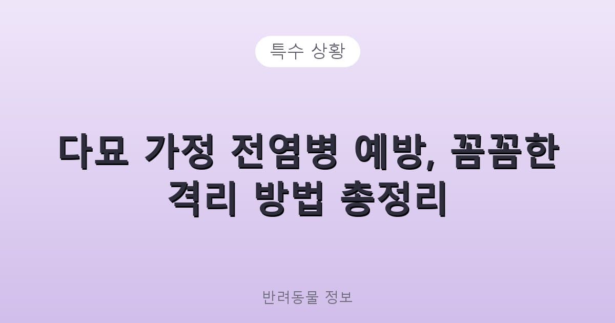 다묘 가정 전염병 예방, 꼼꼼한 격리 방법 총정리 - 특수 상황 테니스 콘텐츠 이미지