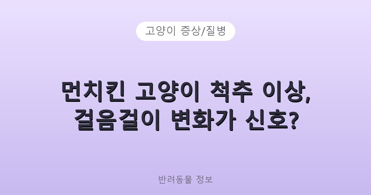 먼치킨 고양이 척추 이상, 걸음걸이 변화가 신호? - 고양이 증상/질병 테니스 콘텐츠 이미지
