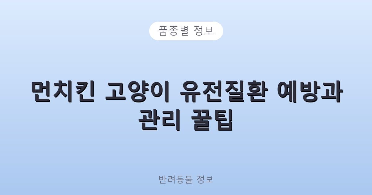 먼치킨 고양이 유전질환 예방과 관리 꿀팁 - 품종별 정보 테니스 콘텐츠 이미지