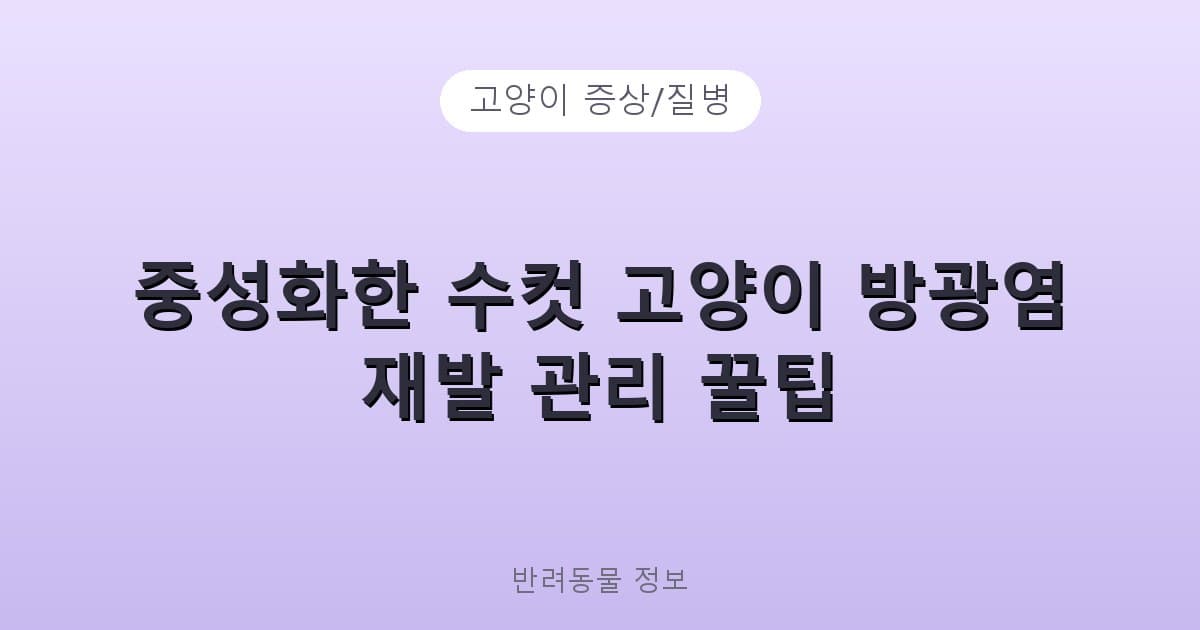 중성화한 수컷 고양이 방광염 재발 관리 꿀팁 - 고양이 증상/질병 테니스 콘텐츠 이미지