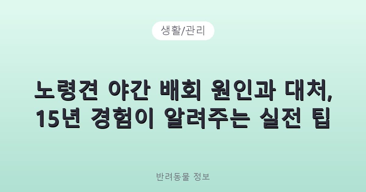 노령견 야간 배회 원인과 대처, 15년 경험이 알려주는 실전 팁 - 생활/관리 관련 콘텐츠
