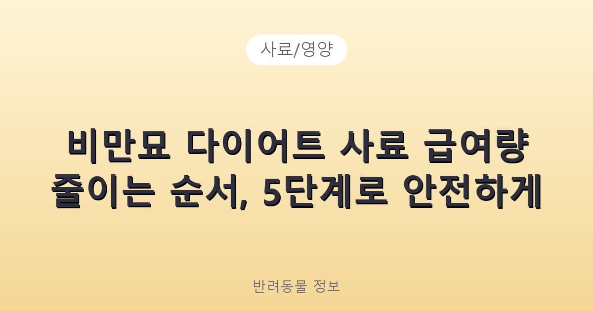 비만묘 다이어트 사료 급여량 줄이는 순서, 5단계로 안전하게 - 사료/영양 테니스 콘텐츠 이미지