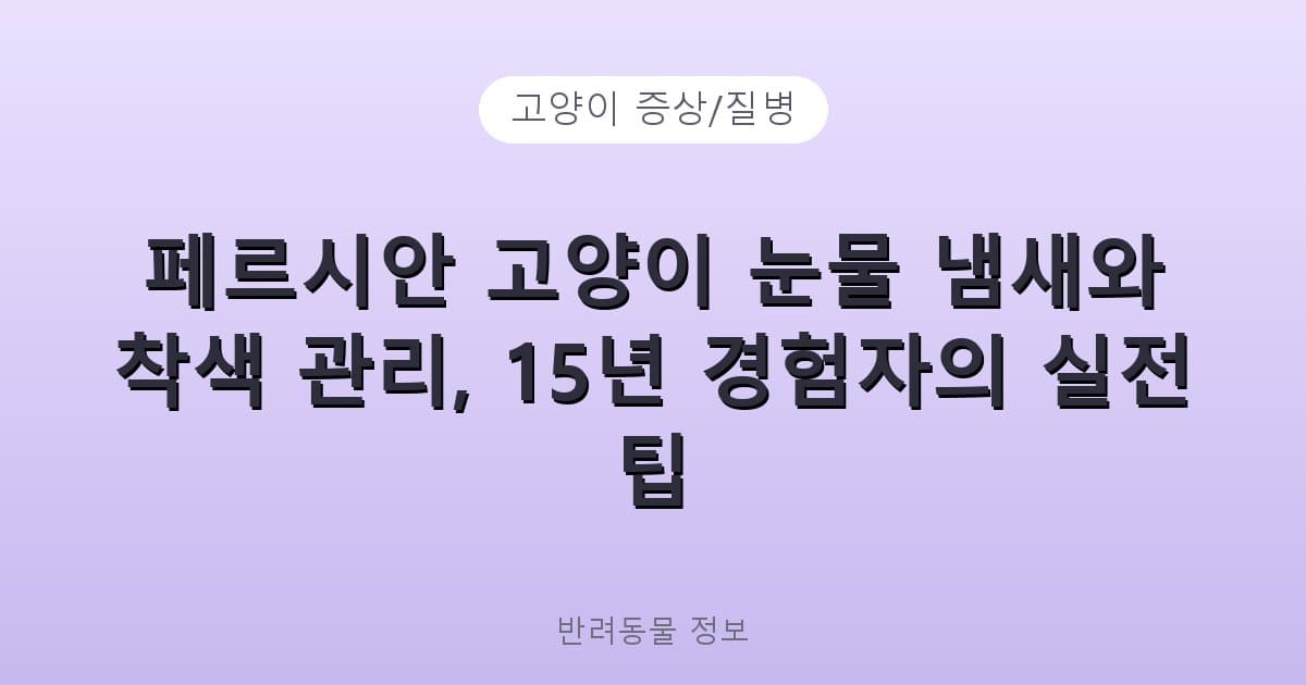 페르시안 고양이 눈물 냄새와 착색 관리, 15년 경험자의 실전 팁 - 고양이 증상/질병 테니스 콘텐츠 이미지