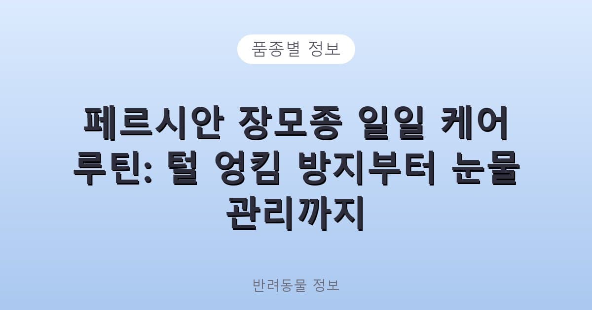 페르시안 장모종 일일 케어 루틴: 털 엉킴 방지부터 눈물 관리까지 - 품종별 정보 테니스 콘텐츠 이미지