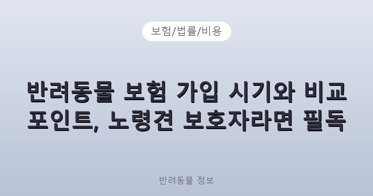 반려동물 보험 가입 시기와 비교 포인트, 노령견 보호자라면 필독 - 보험/법률/비용 관련 콘텐츠