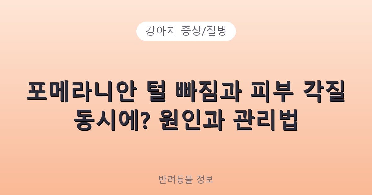 포메라니안 털 빠짐과 피부 각질 동시에? 원인과 관리법 - 강아지 증상/질병 테니스 콘텐츠 이미지