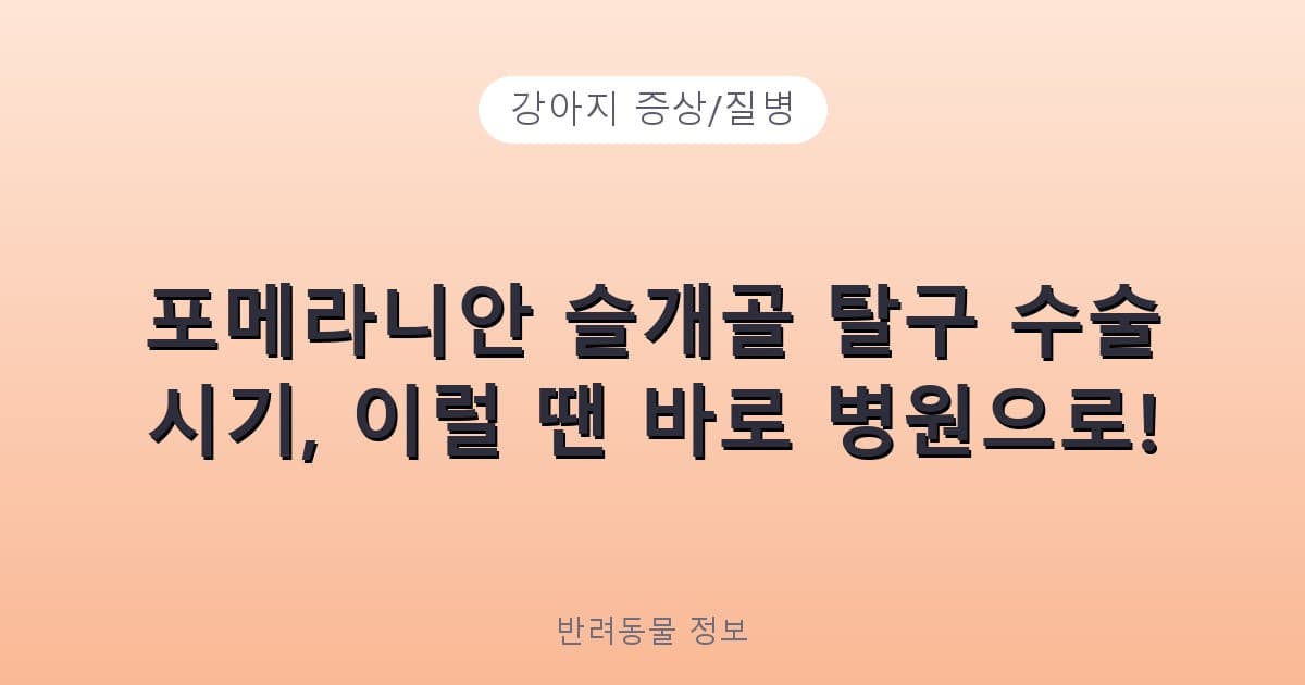 포메라니안 슬개골 탈구 수술 시기, 이럴 땐 바로 병원으로! - 강아지 증상/질병 테니스 콘텐츠 이미지