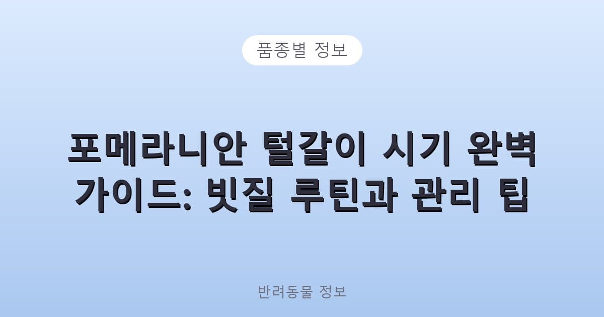 포메라니안 털갈이 시기 완벽 가이드: 빗질 루틴과 관리 팁 - 품종별 정보 테니스 콘텐츠 이미지