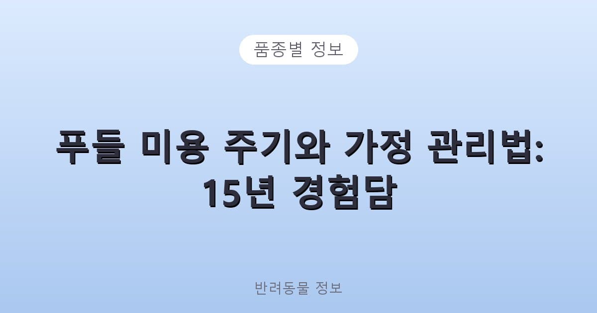 푸들 미용 주기와 가정 관리법: 15년 경험담 - 품종별 정보 테니스 콘텐츠 이미지