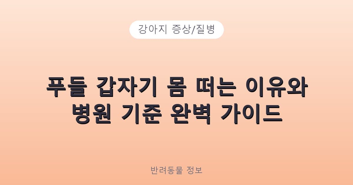 푸들 갑자기 몸 떠는 이유와 병원 기준 완벽 가이드 - 강아지 증상/질병 테니스 콘텐츠 이미지