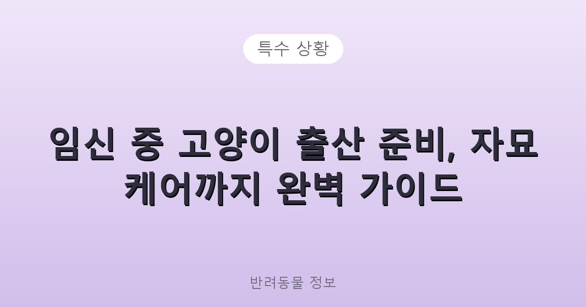 임신 중 고양이 출산 준비, 자묘 케어까지 완벽 가이드 - 특수 상황 테니스 콘텐츠 이미지