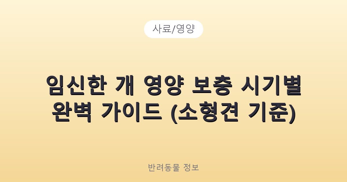임신한 개 영양 보충 시기별 완벽 가이드 (소형견 기준) - 사료/영양 테니스 콘텐츠 이미지