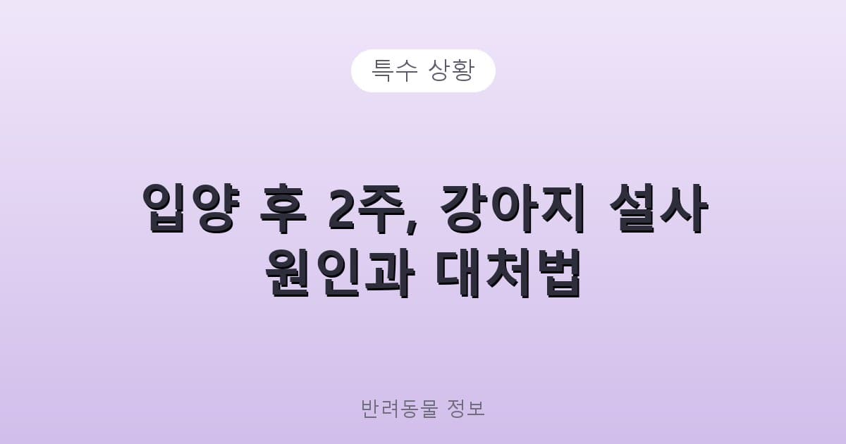 입양 후 2주, 강아지 설사 원인과 대처법 - 특수 상황 테니스 콘텐츠 이미지