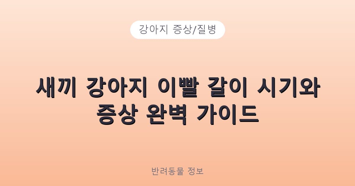 새끼 강아지 이빨 갈이 시기와 증상 완벽 가이드 - 강아지 증상/질병 테니스 콘텐츠 이미지