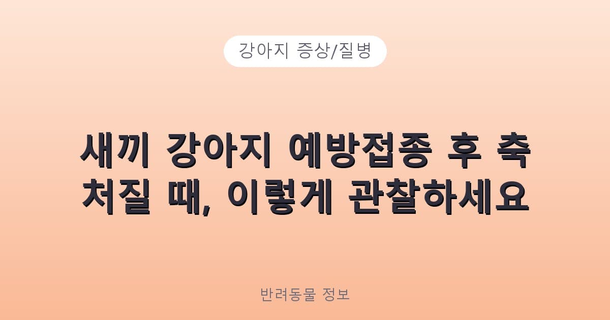 새끼 강아지 예방접종 후 축 처질 때, 이렇게 관찰하세요 - 강아지 증상/질병 테니스 콘텐츠 이미지