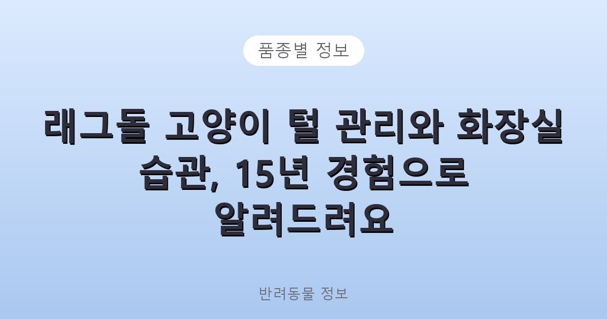 래그돌 고양이 털 관리와 화장실 습관, 15년 경험으로 알려드려요 - 품종별 정보 테니스 콘텐츠 이미지