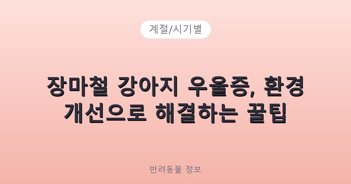 장마철 강아지 우울증, 환경 개선으로 해결하는 꿀팁 - 계절/시기별 테니스 콘텐츠 이미지