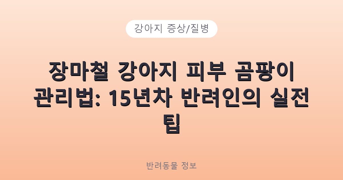 장마철 강아지 피부 곰팡이 관리법: 15년차 반려인의 실전 팁 - 강아지 증상/질병 테니스 콘텐츠 이미지
