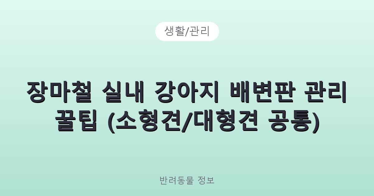 장마철 실내 강아지 배변판 관리 꿀팁 (소형견/대형견 공통) - 생활/관리 테니스 콘텐츠 이미지
