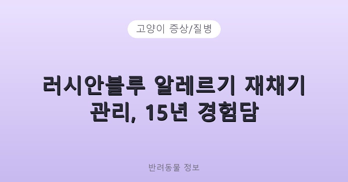 러시안블루 알레르기 재채기 관리, 15년 경험담 - 고양이 증상/질병 테니스 콘텐츠 이미지