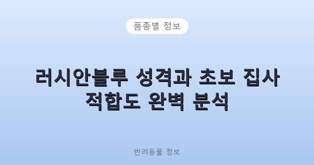 러시안블루 성격과 초보 집사 적합도 완벽 분석 - 품종별 정보 테니스 콘텐츠 이미지