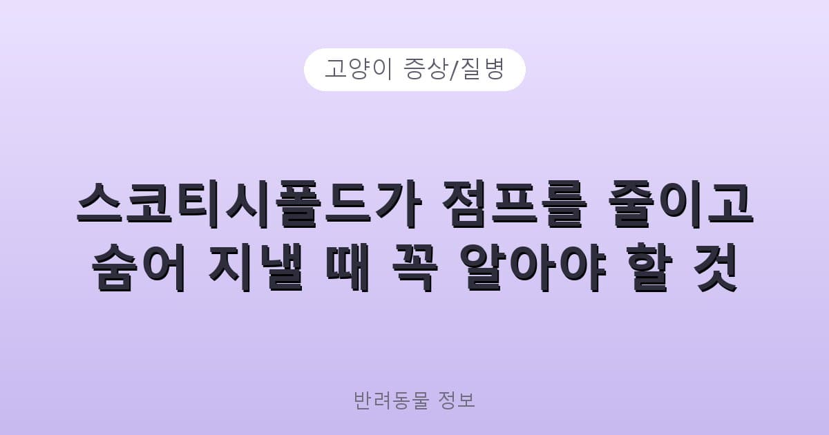스코티시폴드가 점프를 줄이고 숨어 지낼 때 꼭 알아야 할 것 - 고양이 증상/질병 테니스 콘텐츠 이미지