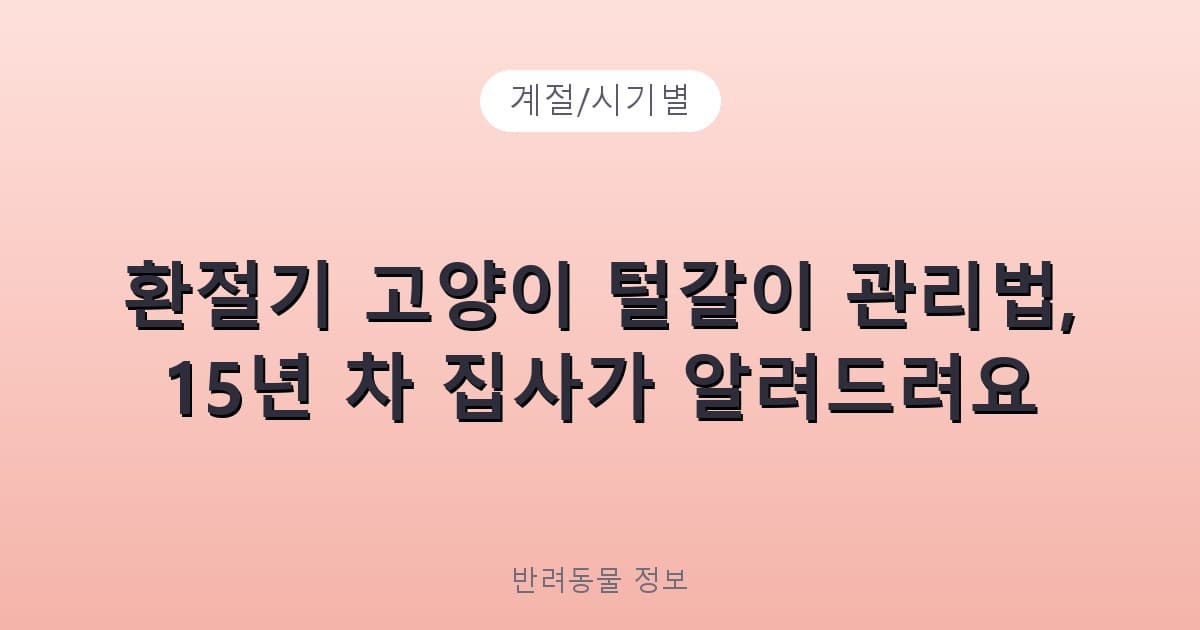 환절기 고양이 털갈이 관리법, 15년 차 집사가 알려드려요 - 계절/시기별 테니스 콘텐츠 이미지