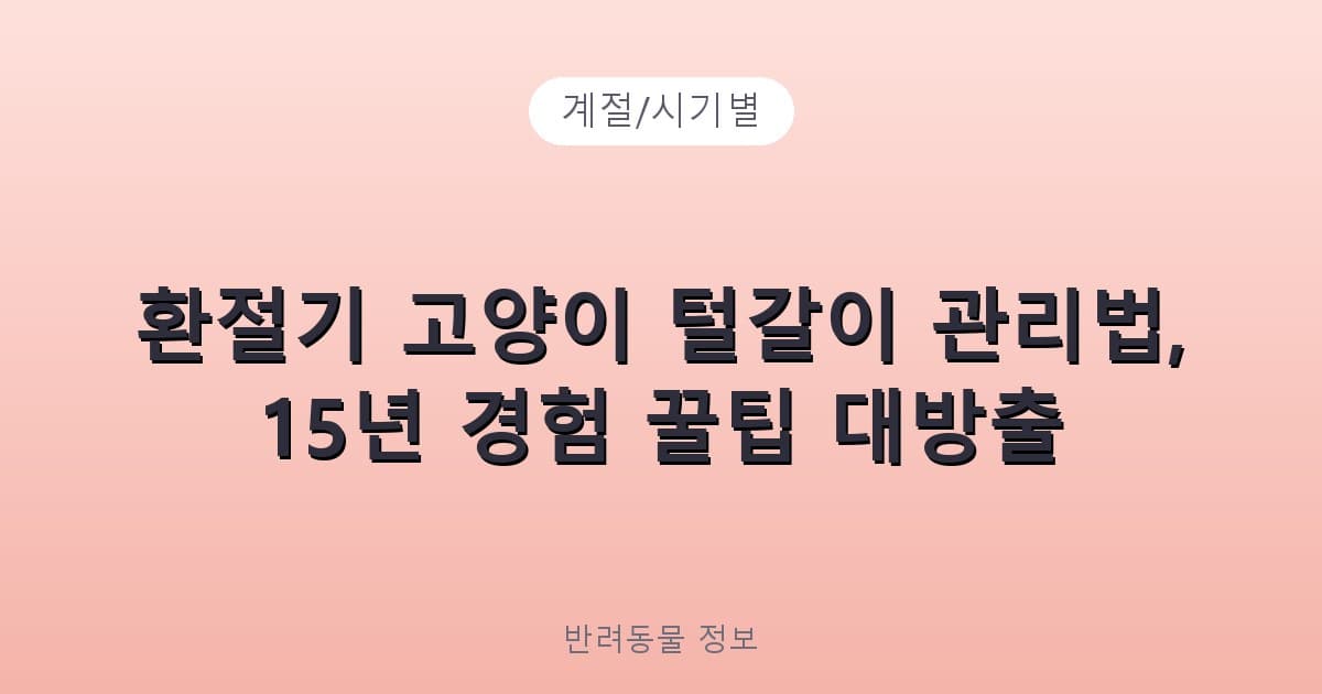 환절기 고양이 털갈이 관리법, 15년 경험 꿀팁 대방출 - 계절/시기별 테니스 콘텐츠 이미지