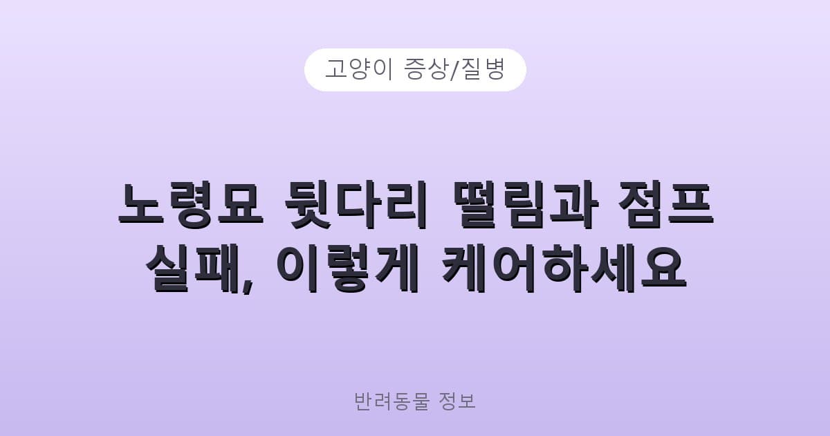 노령묘 뒷다리 떨림과 점프 실패, 이렇게 케어하세요 - 고양이 증상/질병 테니스 콘텐츠 이미지