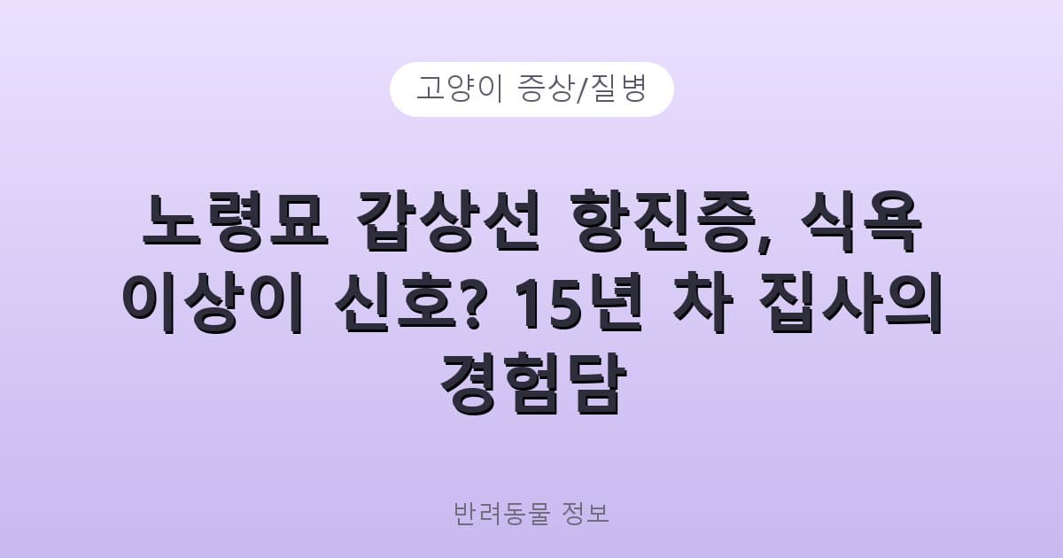 노령묘 갑상선 항진증, 식욕 이상이 신호? 15년 차 집사의 경험담 - 고양이 증상/질병 테니스 콘텐츠 이미지
