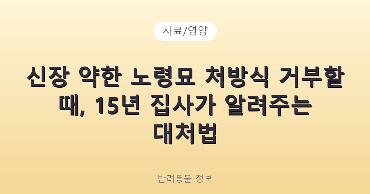 신장 약한 노령묘 처방식 거부할 때, 15년 집사가 알려주는 대처법 - 사료/영양 테니스 콘텐츠 이미지