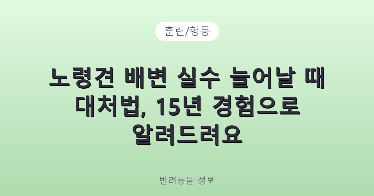 노령견 배변 실수 늘어날 때 대처법, 15년 경험으로 알려드려요 - 훈련/행동 테니스 콘텐츠 이미지