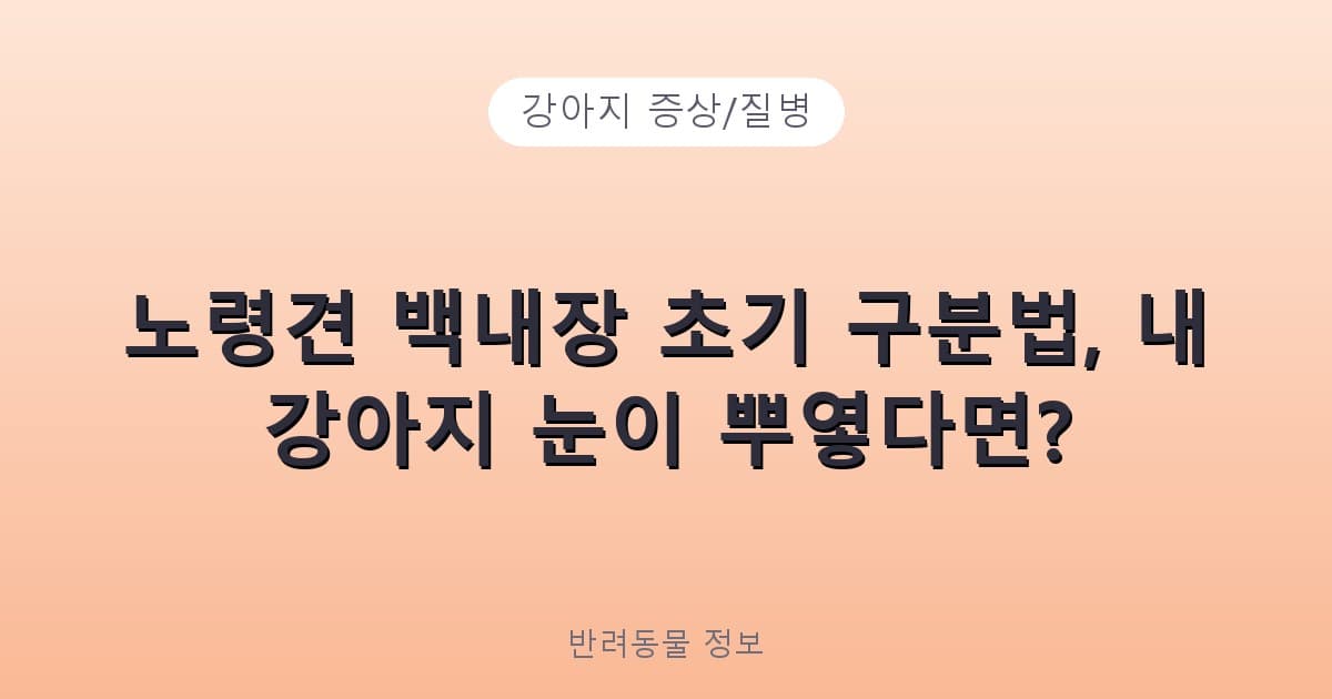 노령견 백내장 초기 구분법, 내 강아지 눈이 뿌옇다면? - 강아지 증상/질병 테니스 콘텐츠 이미지