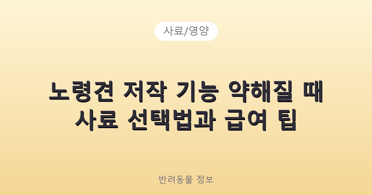 노령견 저작 기능 약해질 때 사료 선택법과 급여 팁 - 사료/영양 테니스 콘텐츠 이미지