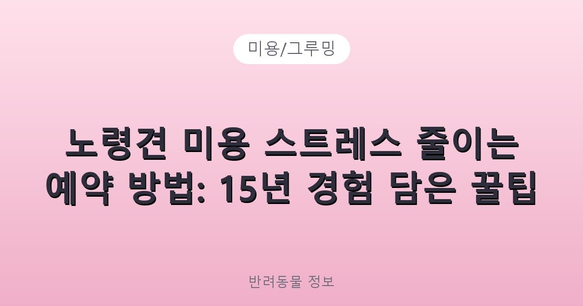 노령견 미용 스트레스 줄이는 예약 방법: 15년 경험 담은 꿀팁 - 미용/그루밍 관련 콘텐츠
