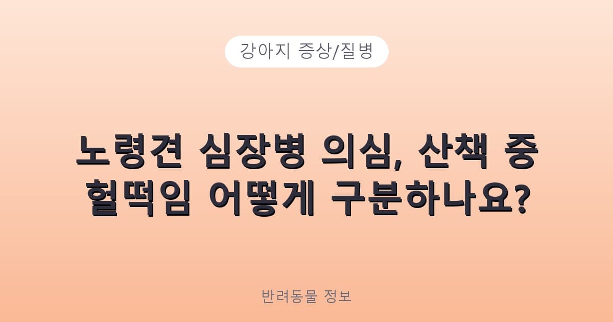 노령견 심장병 의심, 산책 중 헐떡임 어떻게 구분하나요? - 강아지 증상/질병 테니스 콘텐츠 이미지